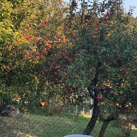 Exkluzivni Podjestedka S Grilem A Saunou Holiday home Svetla pod Jestedem